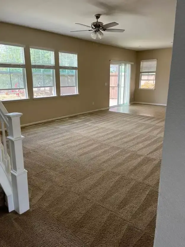 Freshly cleaned carpet in an empty living room in Schaumburg, IL