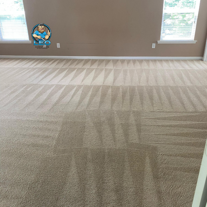 Carpet Cleaning Near me