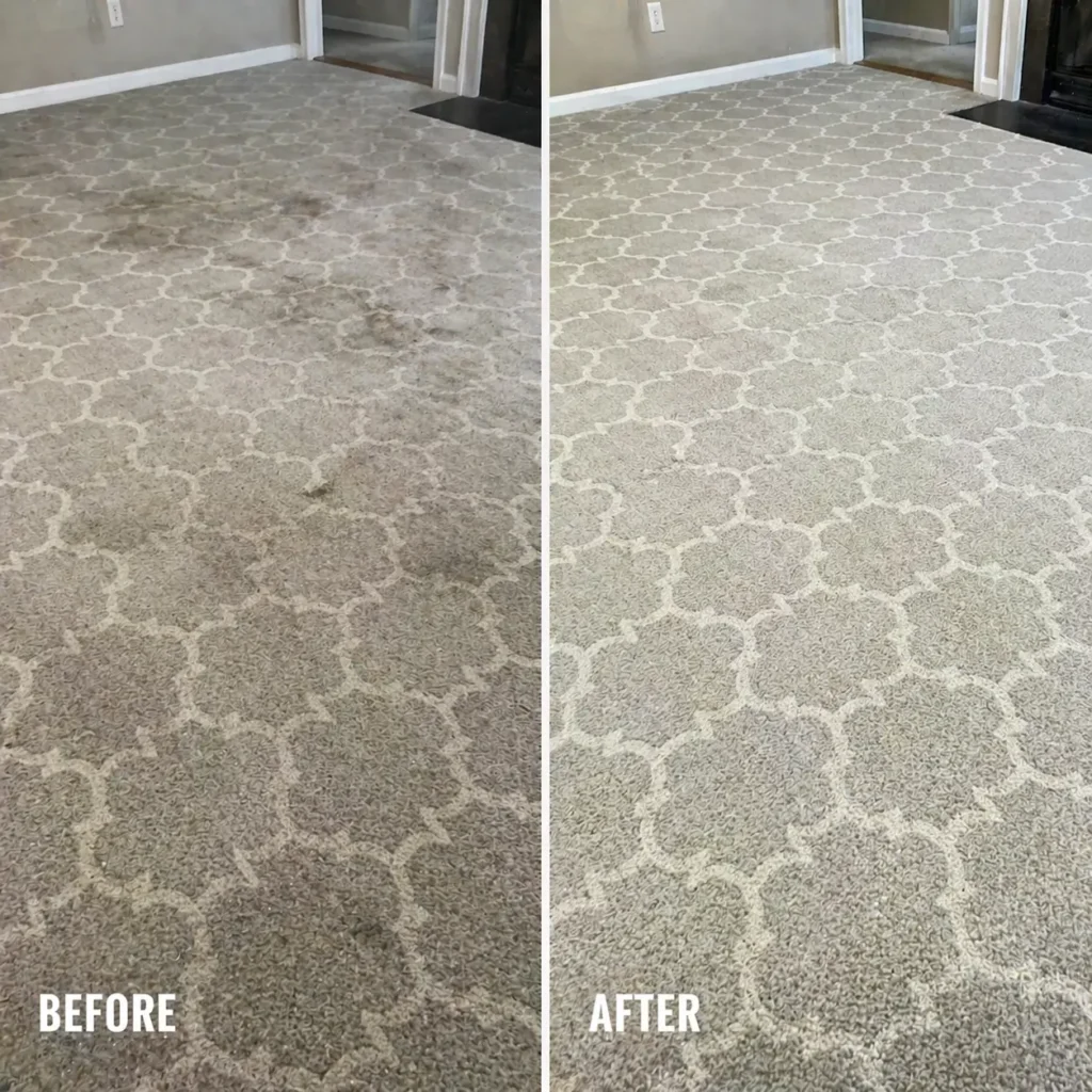 Carpet Cleaning park ridge