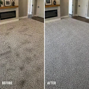 Carpet Cleaning Service Glenview