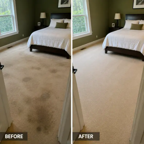 Carpet Cleaning Glenview