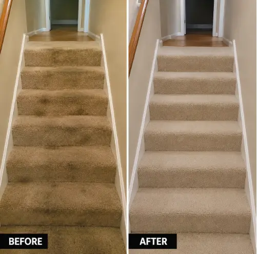 Carpet Cleaning Glenview